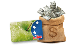 Price Chopper Bags2Riches 2016 Game Online