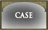 CASE