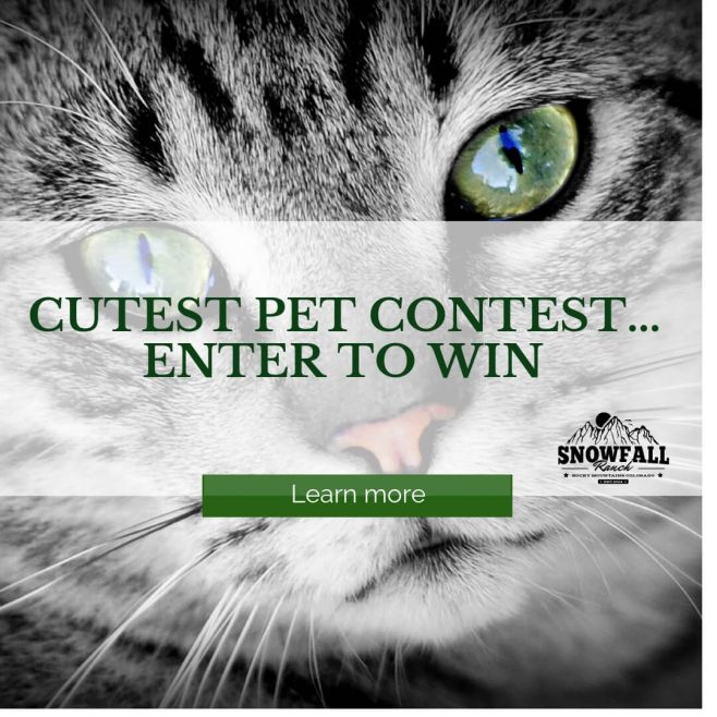 Snowfall Ranch's Cutest Pet Contest