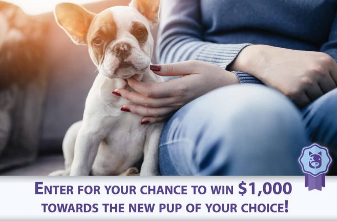 MyLittlePuppy Sweepstakes