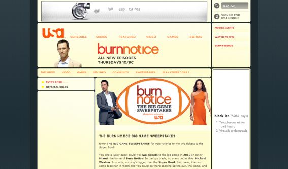 Burn Notice The Big Game Sweepstakes