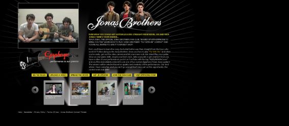 Jonas Brothers Team Jonas Fly With Me Cover Contest