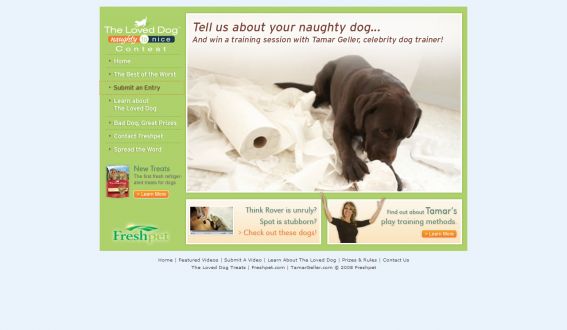 The Loved Dog Naughty to Nice Contest