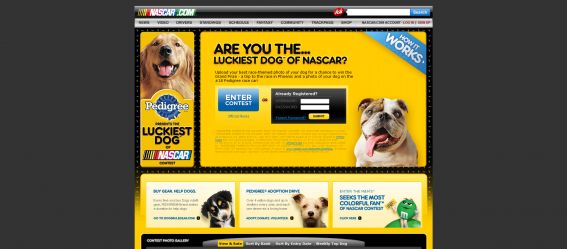 Pedigree presents the Luckiest Dog of NASCAR Contest