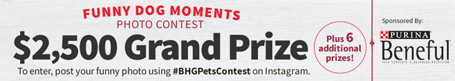 BHG Funny Dog Moments Photo Contest (#BHGPetsContest)