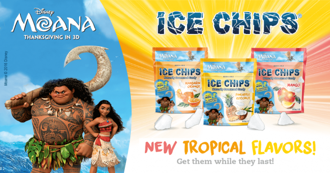 Ice Chips Hawaiian Family Adventure Sweepstakes (IceChipsFun.com)