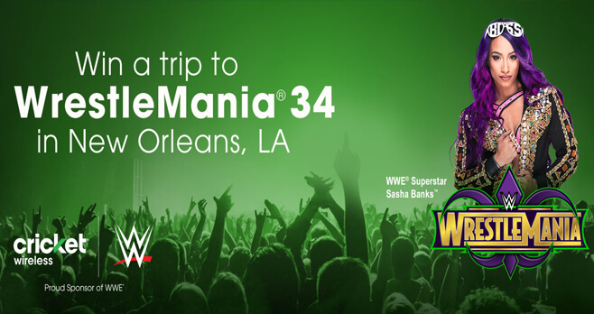 Cricket Wrestlemania 34 Sweepstakes