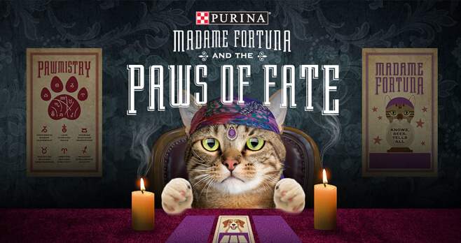 Purina Save A Fortune 2.0 Sweepstakes