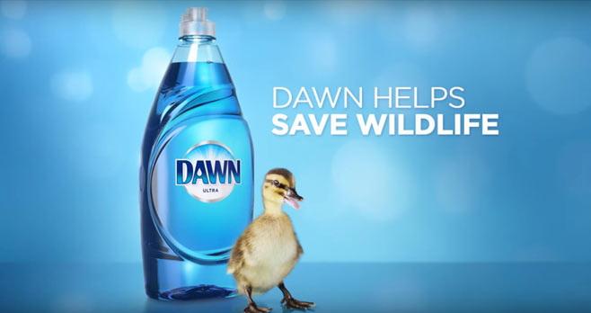 Dawn Wildlife Sweepstakes