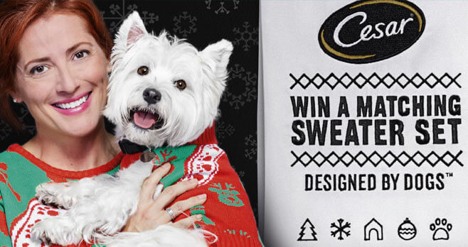 CESAR Twinning Holiday Sweater Sweepstakes