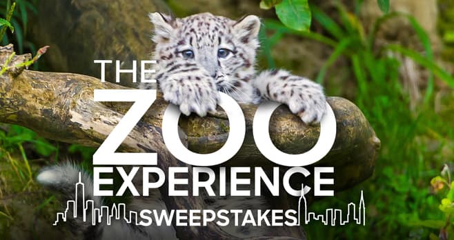 Animal Planet Zoo Sweepstakes (AnimalPlanet.com/ZooSweepstakes)