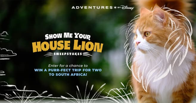 Disney Show Me Your House Lion Sweepstakes