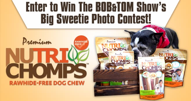 Bob & Tom Show Nutri Chomps Contest