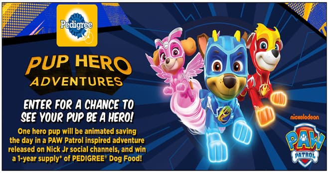 Pup Hero Adventures Contest