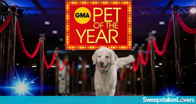 GMA Pet of the Year Contest