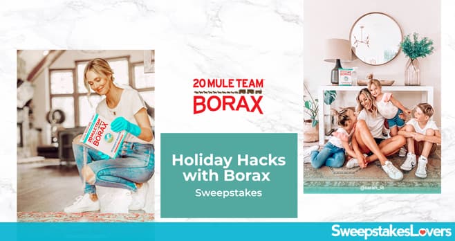 Holiday Hacks with Borax Sweepstakes