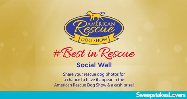 Hallmark Channel American Rescue Dog Show 2020 Contest