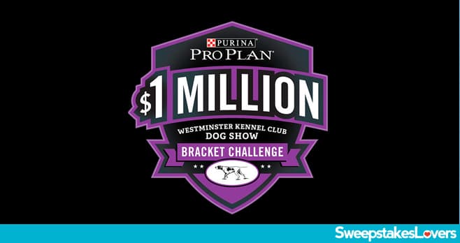 Purina Pro Plan $1 Million Westminster Kennel Club Dog Show Bracket Challenge 2020