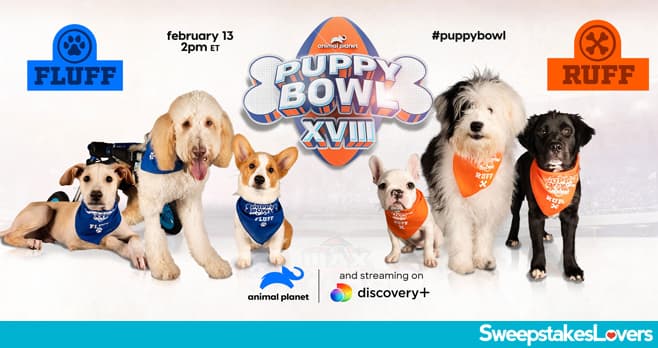 Animal Planet Puppy Bowl 2022 Sweepstakes