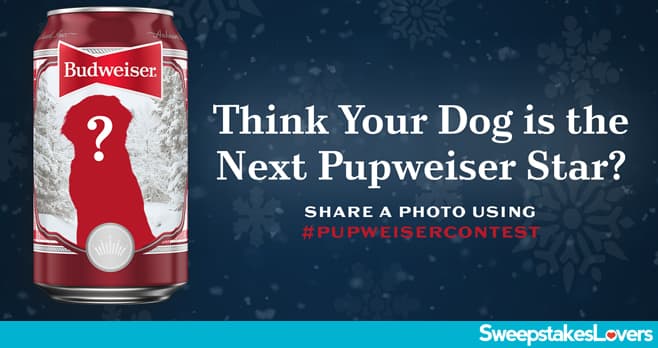 Budweiser Pupweiser Dog Contest 2021