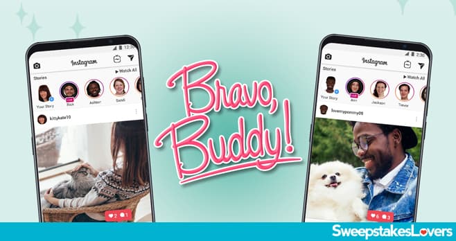 Bravecto Bravo Buddy Sweepstakes 2021