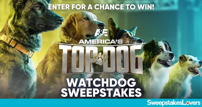 A&E America's Top Dog Sweepstakes 2021