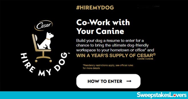Cesar Hire My Dog Contest 2022