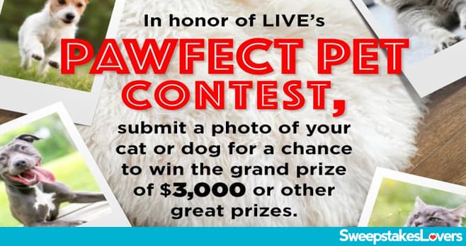 Kelly And Ryan Pet Contest 2022