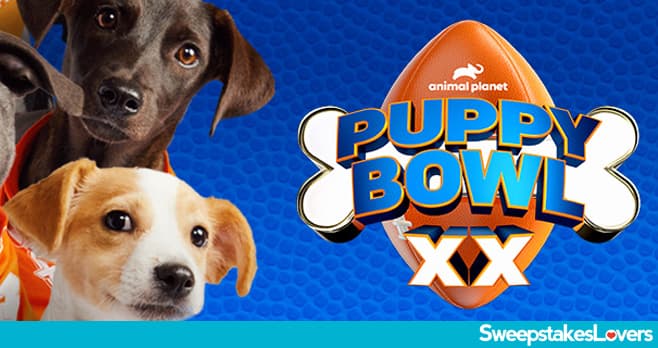 Animal Planet Puppy Bowl Kitty Halftime Sweepstakes 2024
