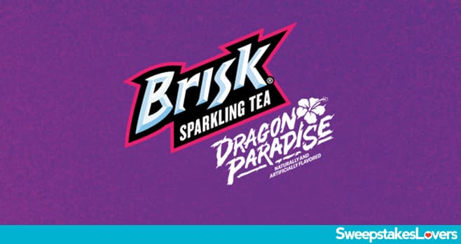 Brisk Dragon Paradise Contest 2023
