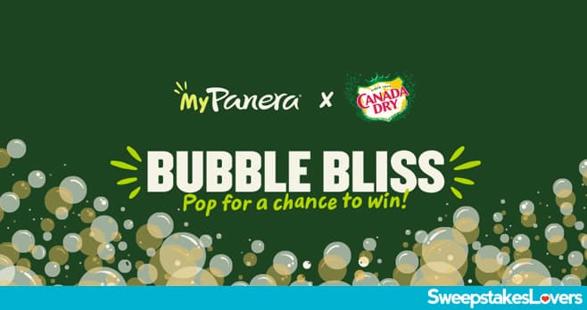 Panera Canada Dry Bubble Bliss Sweepstakes 2023