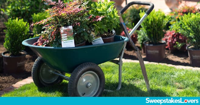 Southern Living Bless This Backyard Sweepstakes 2025