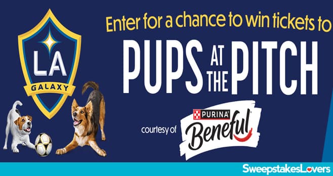 Purina Beneful Sweepstakes 2025