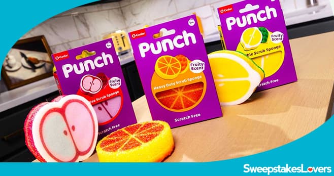 O-Cedar Punch Up The Joy Awards Giveaway 2026